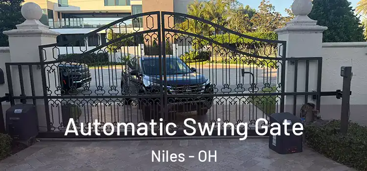  Automatic Swing Gate Niles - OH