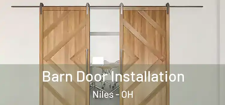  Barn Door Installation Niles - OH