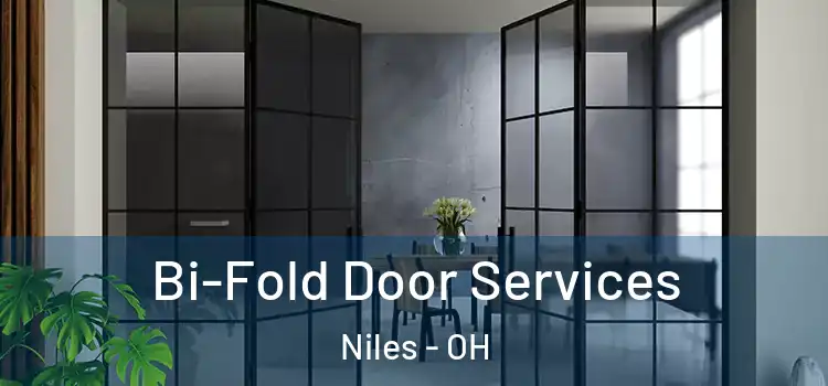  Bi-Fold Door Services Niles - OH