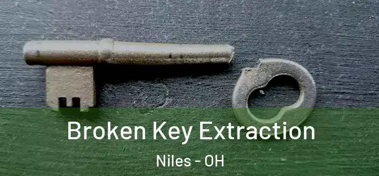  Broken Key Extraction Niles - OH
