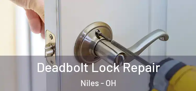  Deadbolt Lock Repair Niles - OH