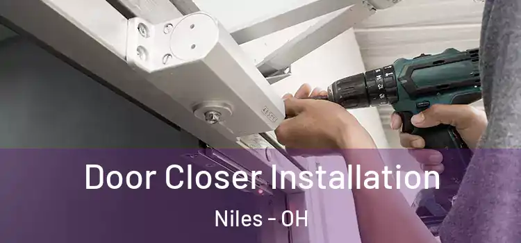  Door Closer Installation Niles - OH