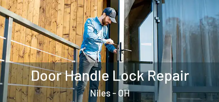  Door Handle Lock Repair Niles - OH