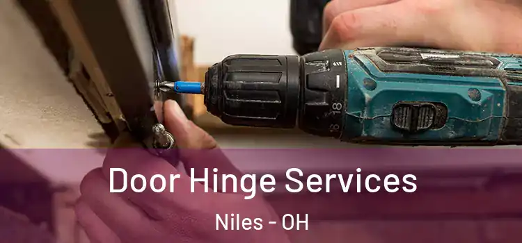  Door Hinge Services Niles - OH