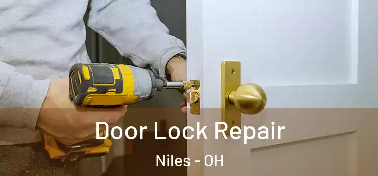  Door Lock Repair Niles - OH