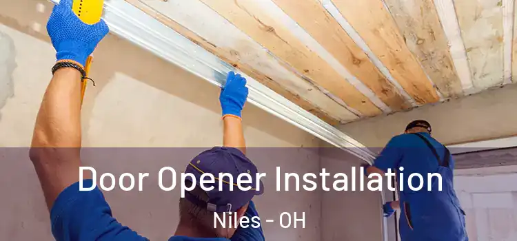  Door Opener Installation Niles - OH