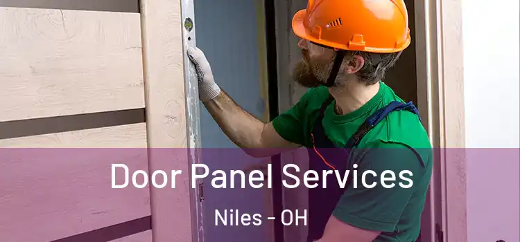  Door Panel Services Niles - OH