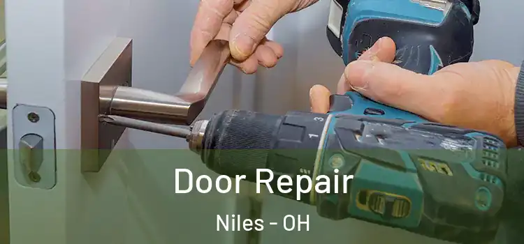  Door Repair Niles - OH