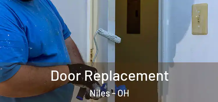  Door Replacement Niles - OH