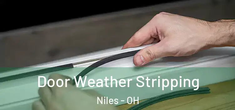  Door Weather Stripping Niles - OH