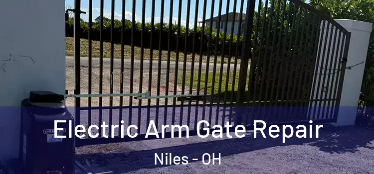  Electric Arm Gate Repair Niles - OH