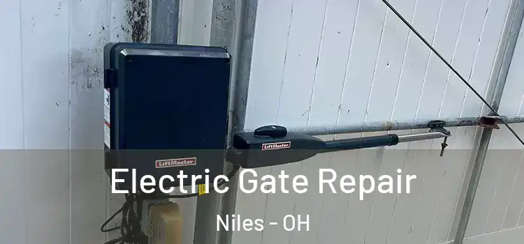  Electric Gate Repair Niles - OH