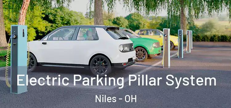  Electric Parking Pillar System Niles - OH