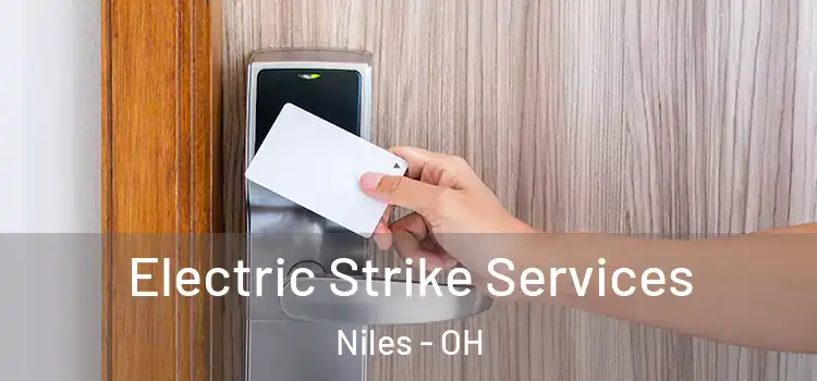  Electric Strike Services Niles - OH