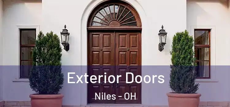  Exterior Doors Niles - OH