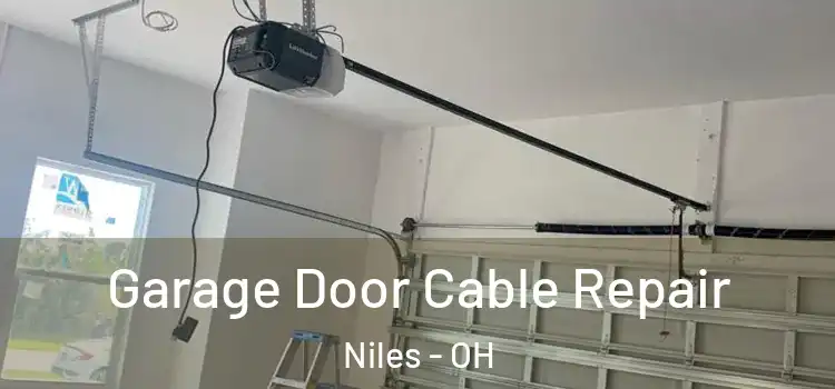  Garage Door Cable Repair Niles - OH