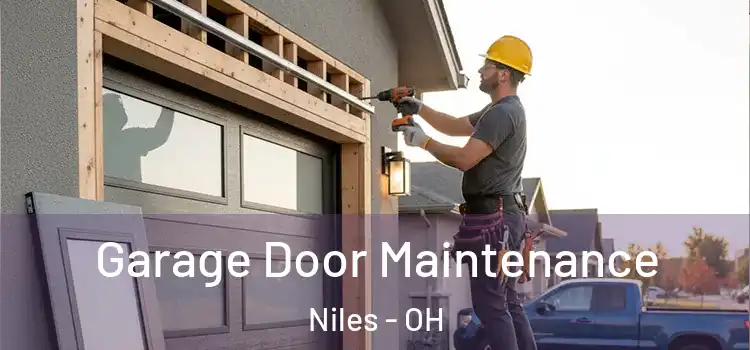  Garage Door Maintenance Niles - OH
