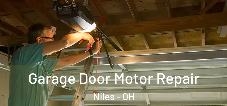  Garage Door Motor Repair Niles - OH