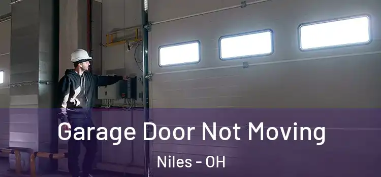  Garage Door Not Moving Niles - OH
