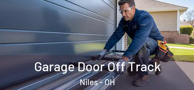  Garage Door Off Track Niles - OH