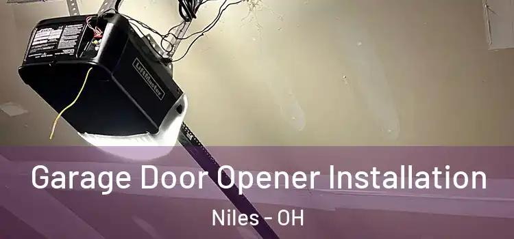 Garage Door Opener Installation Niles - OH
