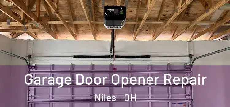  Garage Door Opener Repair Niles - OH