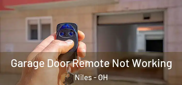  Garage Door Remote Not Working Niles - OH