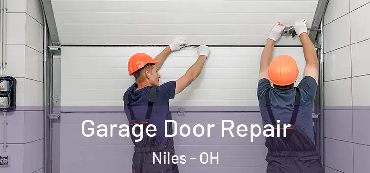  Garage Door Repair Niles - OH
