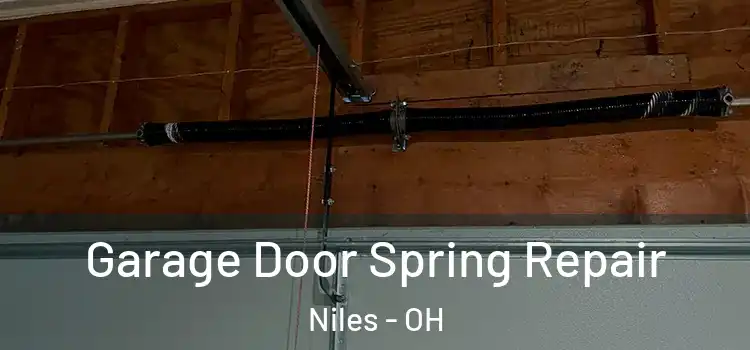  Garage Door Spring Repair Niles - OH