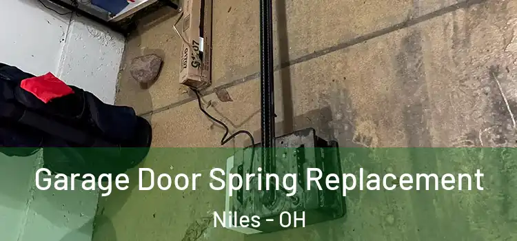  Garage Door Spring Replacement Niles - OH