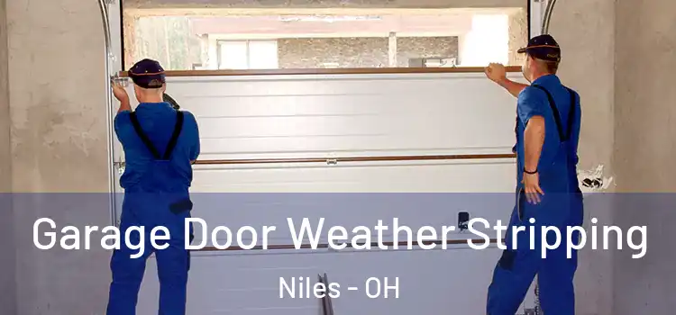  Garage Door Weather Stripping Niles - OH