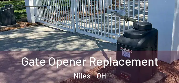  Gate Opener Replacement Niles - OH