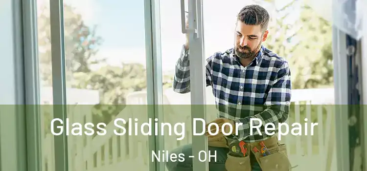  Glass Sliding Door Repair Niles - OH