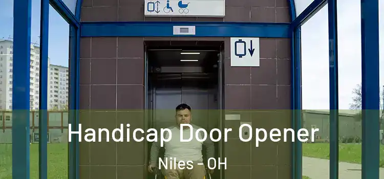  Handicap Door Opener Niles - OH