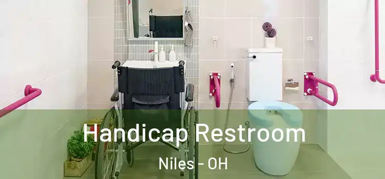  Handicap Restroom Niles - OH