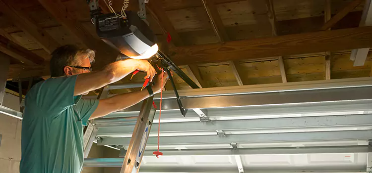 Garage Door Opener Sales and Installation Niles