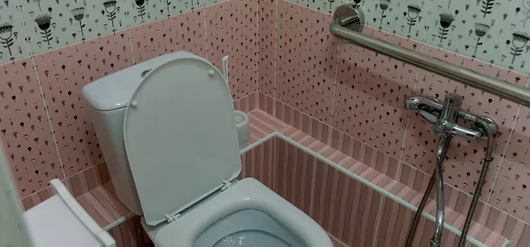 Meeting Diverse Needs With Accessible Restroom Solutions in Niles, OH