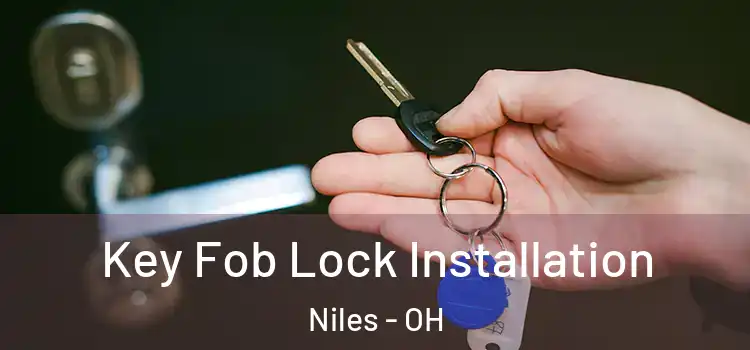  Key Fob Lock Installation Niles - OH