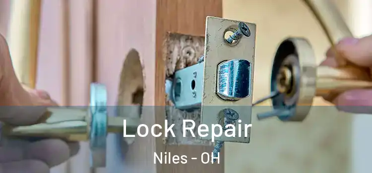  Lock Repair Niles - OH