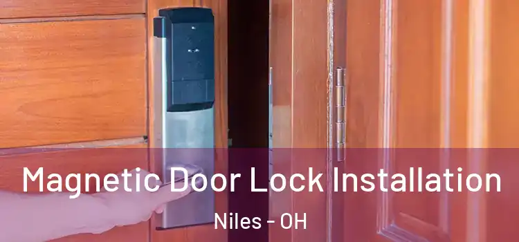  Magnetic Door Lock Installation Niles - OH