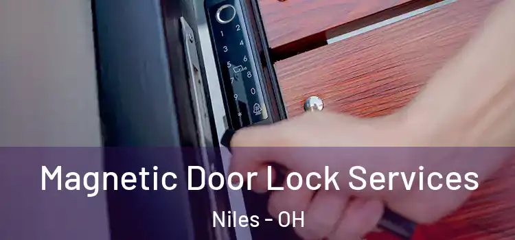  Magnetic Door Lock Services Niles - OH