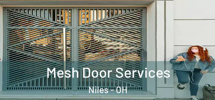  Mesh Door Services Niles - OH