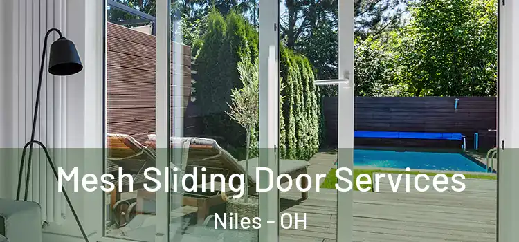  Mesh Sliding Door Services Niles - OH