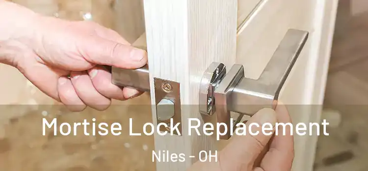  Mortise Lock Replacement Niles - OH