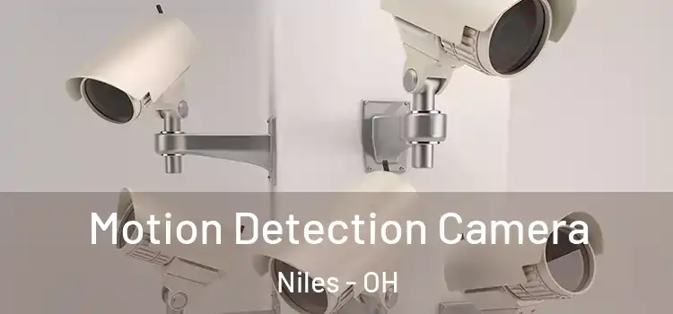  Motion Detection Camera Niles - OH