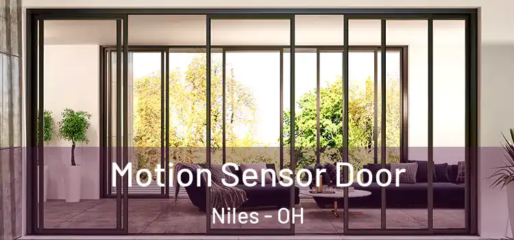  Motion Sensor Door Niles - OH