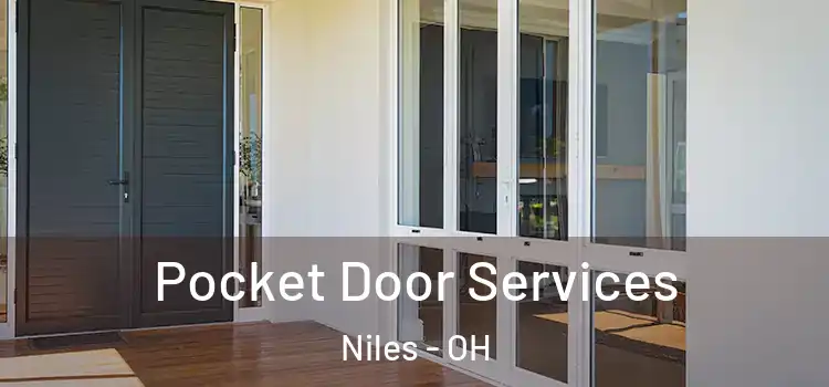  Pocket Door Services Niles - OH