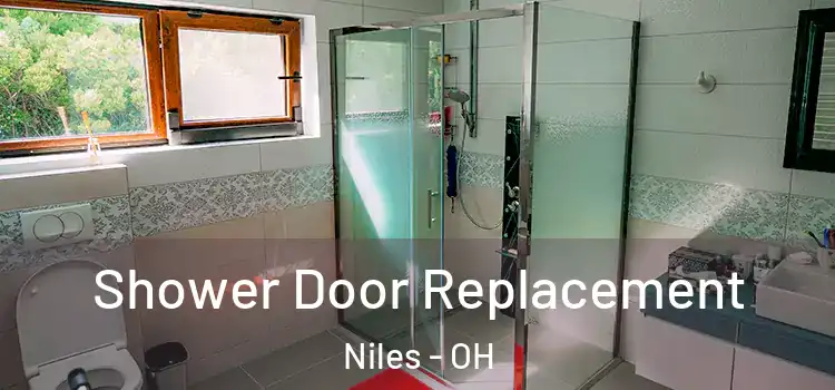  Shower Door Replacement Niles - OH