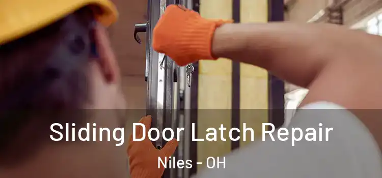  Sliding Door Latch Repair Niles - OH