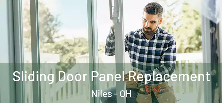  Sliding Door Panel Replacement Niles - OH
